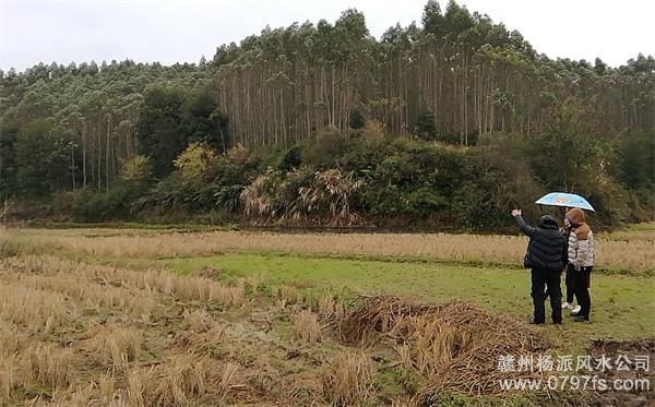 新竹县陈老师带着爱徒寻龙点穴